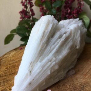 Scolecite